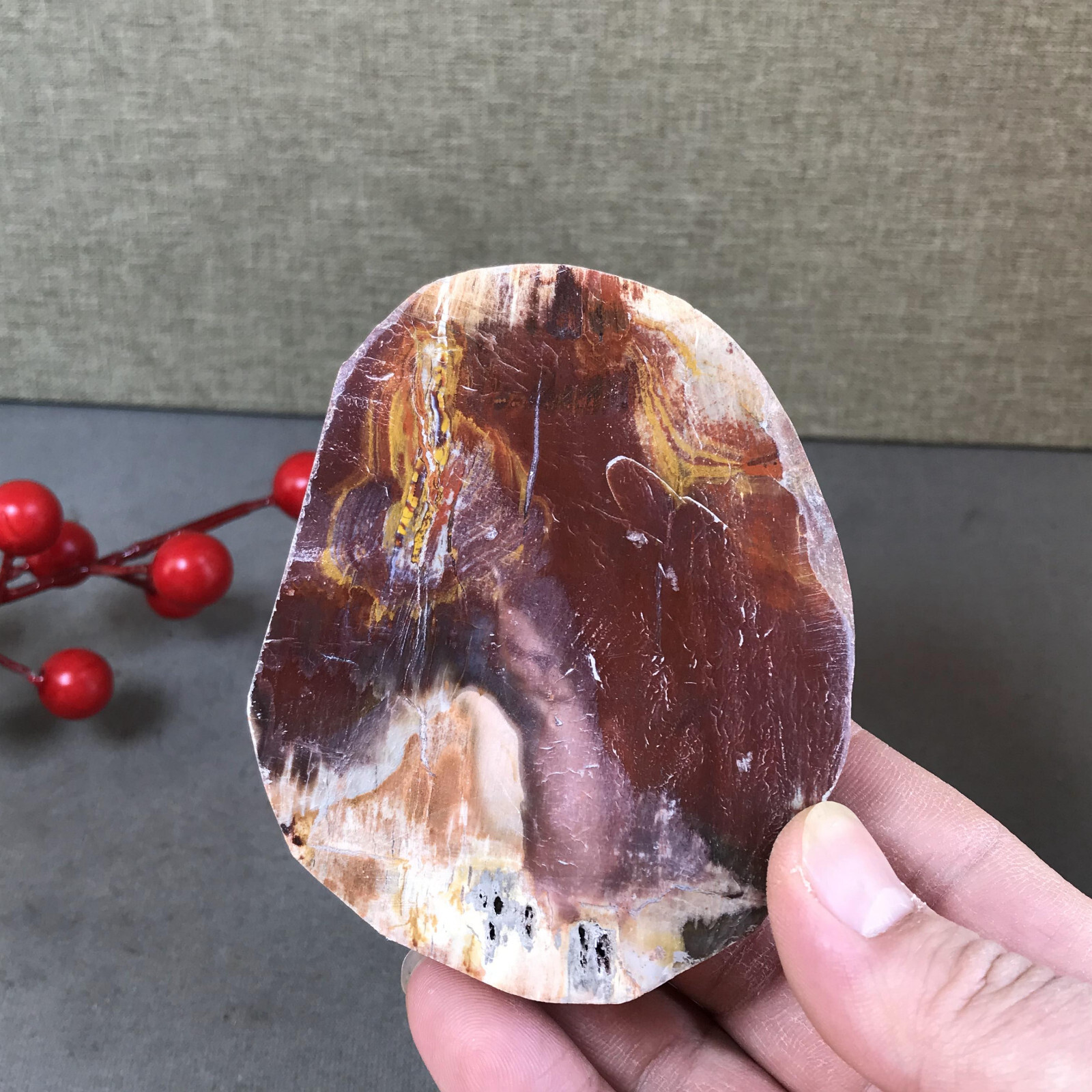 92mm natural Beautiful Petrified Wood Crystal Slice mineral specimen 266g A5424