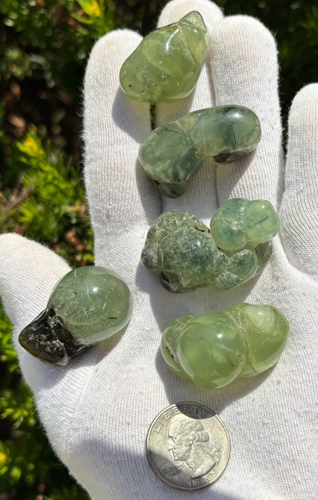 USA SALE 120g LOT 5 PREHNITE & EPIDOTE BOTRYOIDAL TUMBLES TUMBLE STONE STONES