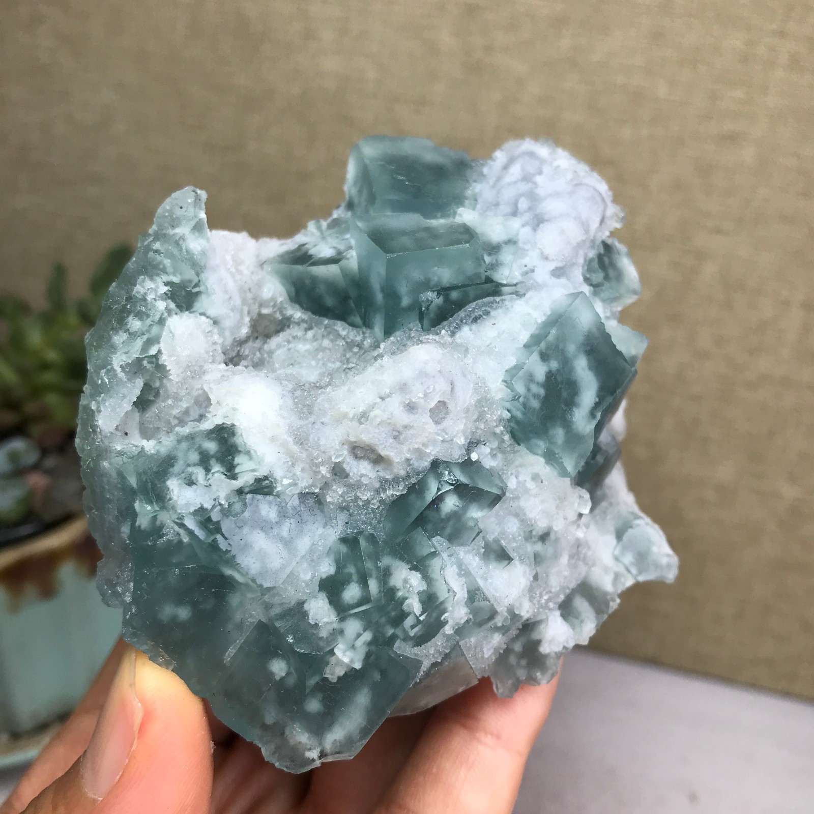 271g NATURAL Green Cubic FLUORITE paragenesis Crystal Cluster Specimen A4776