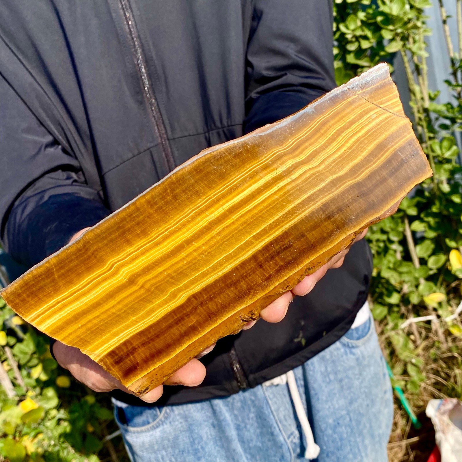 1.3LB Natural Tiger Eye Stone slice Quartz Crystal Polished Specimen healing