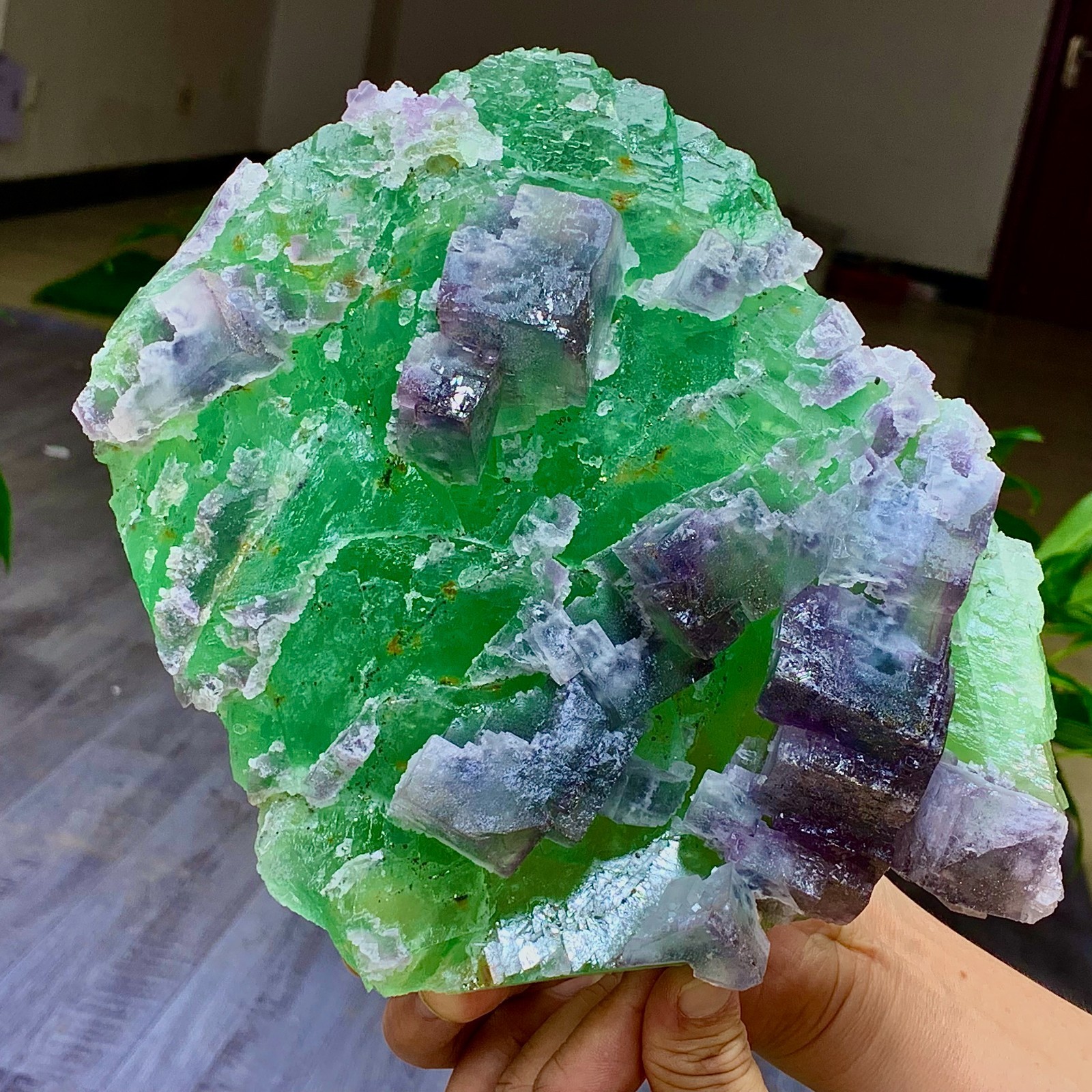 7.2LB Rare transparent green purple cubic Zhejiang fluorite mineral sample