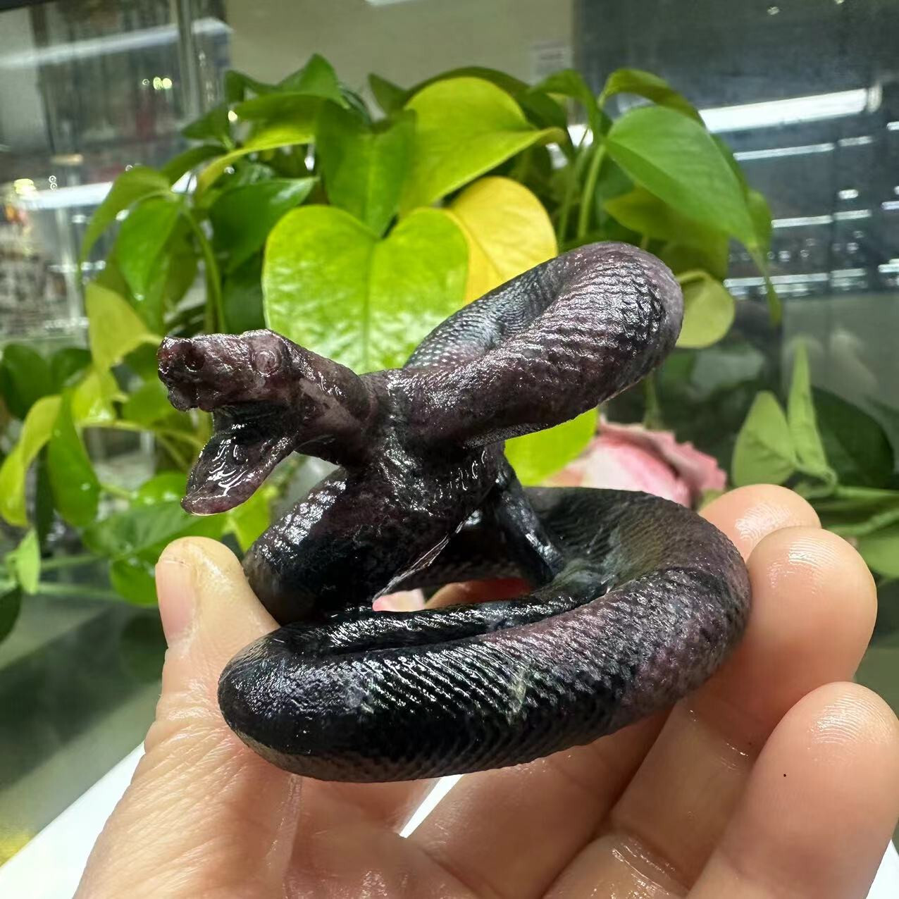 1pc Natural garnet crystal hand carved snake Quartz reiki healing decor gift