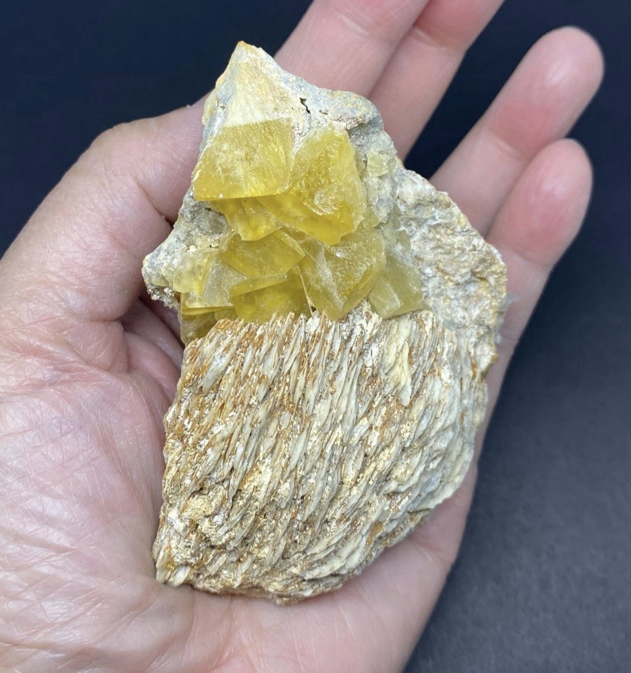 Yellow Fluorite Cubed Stone on Barite from Morocco 309g Over 3in -Fluorescent