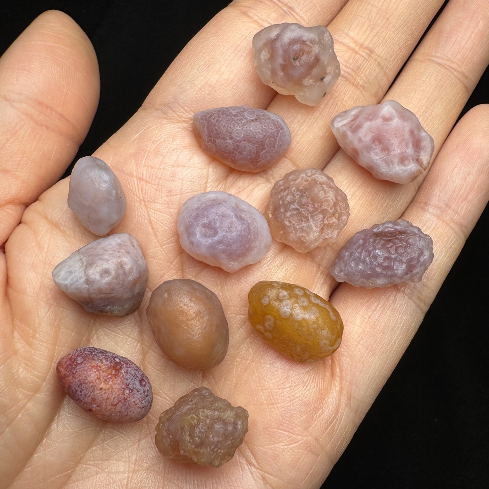 Curated 12-Piece Set: Sugar-Heart & Floral-Eye Alxa Gobi Agates-5905