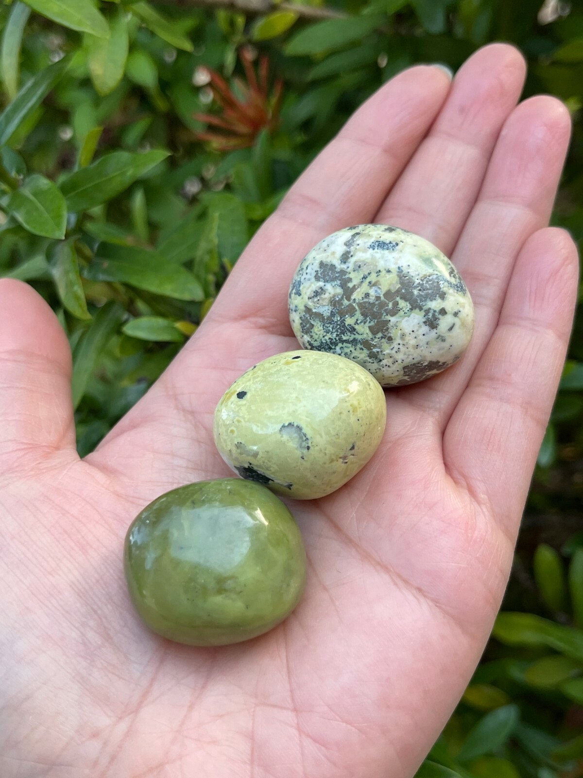 Grade A++ Serpentine Tumbled Stones, 1-1.25 Inch Tumbled Serpentine Stones