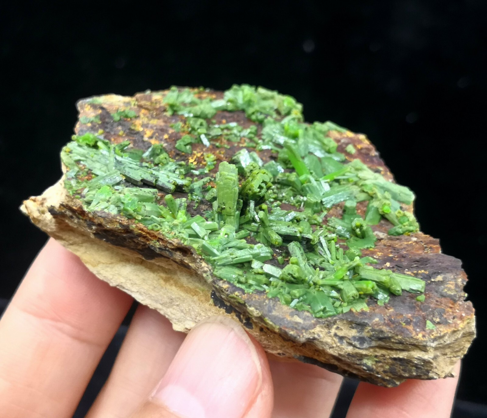 73mm New find ‘Matcha-Green’ Pyromorphite on matrix
