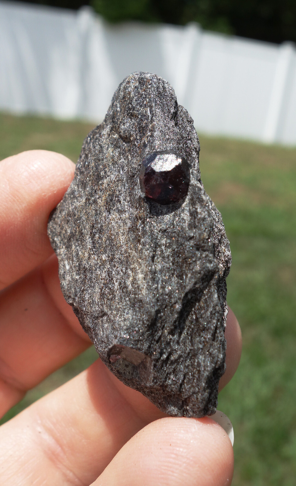 Red Almandine GARNET Crystal in Matrix from Wrangell Island Alaska For Sale 6201