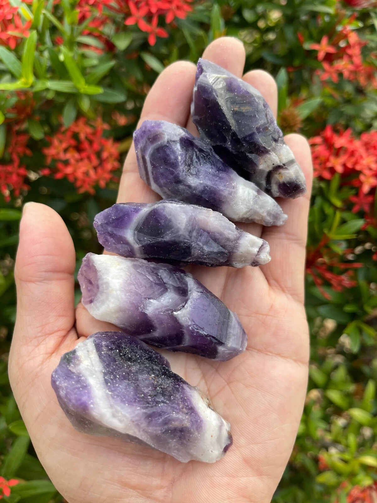 Natural Raw Stone Collection Crystal Healing Meditation Reiki Tool Home Decor