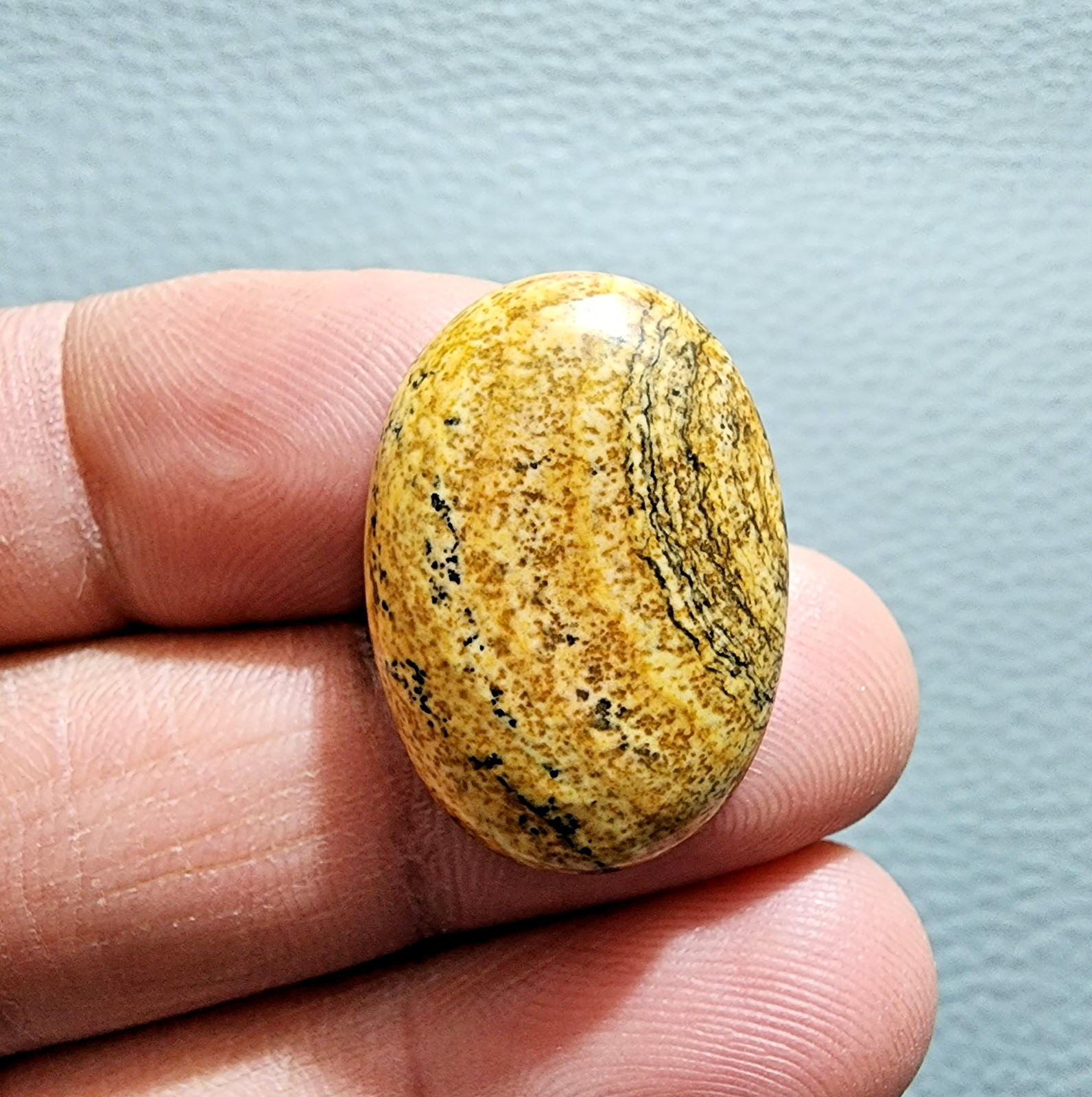 Picture Jasper 20.9ct Oval Cabochon – Unique Natural Gemstone for Jewelry Making