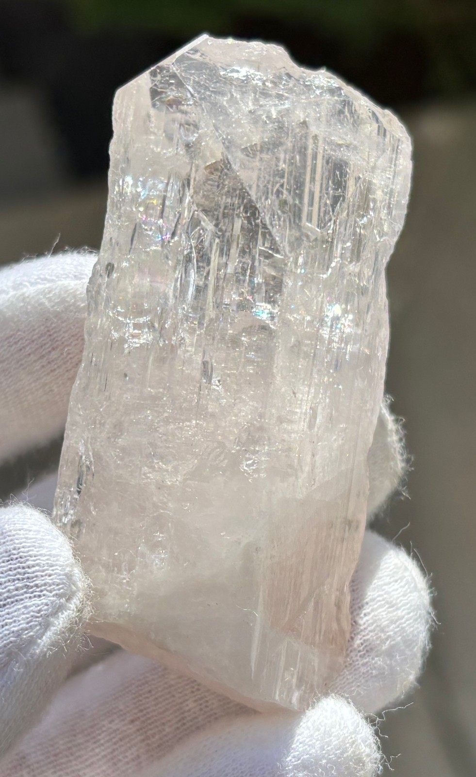 USA SALE *SEE VIDEO* 50g 2.5″ DANBURITE CRYSTAL SPECIMEN CLEAR CLARITY ETCHED