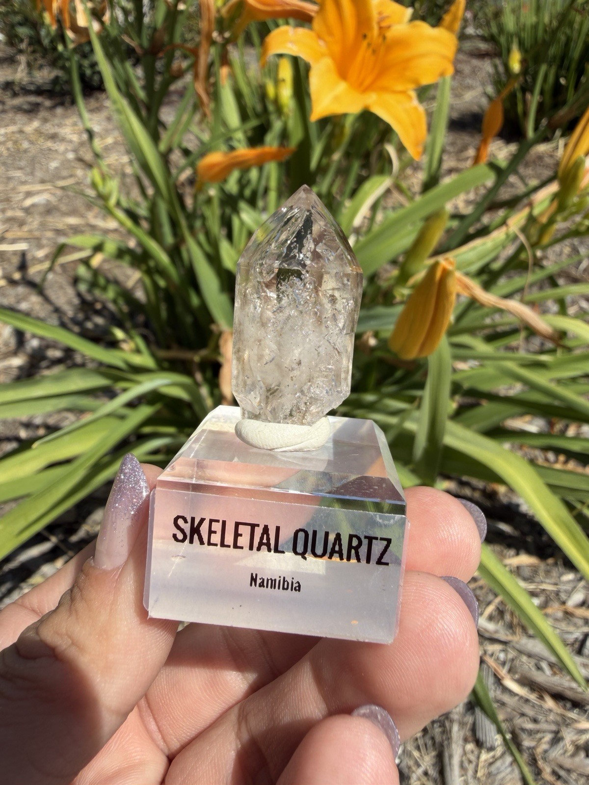 Natural Namibia Skeletal Enhydro Quartz Mineral Specimen w/ Moving Bubble,A478