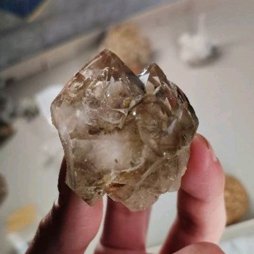 5cm Multi-Enhydro Smoky Citrine 2+Mobile Bubbles Brazilian Skeletal Quartz