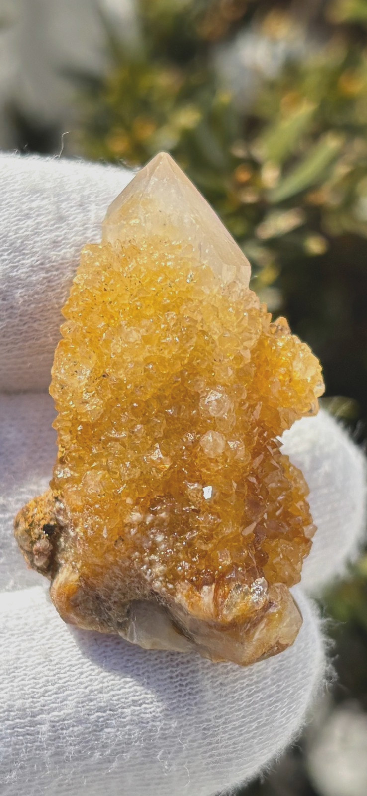USA SALE 66g LOT AZEZTULITE/SPIRIT QUARTZ/GOLDEN HEALER SPIRIT/ELESTIAL/FAIRY