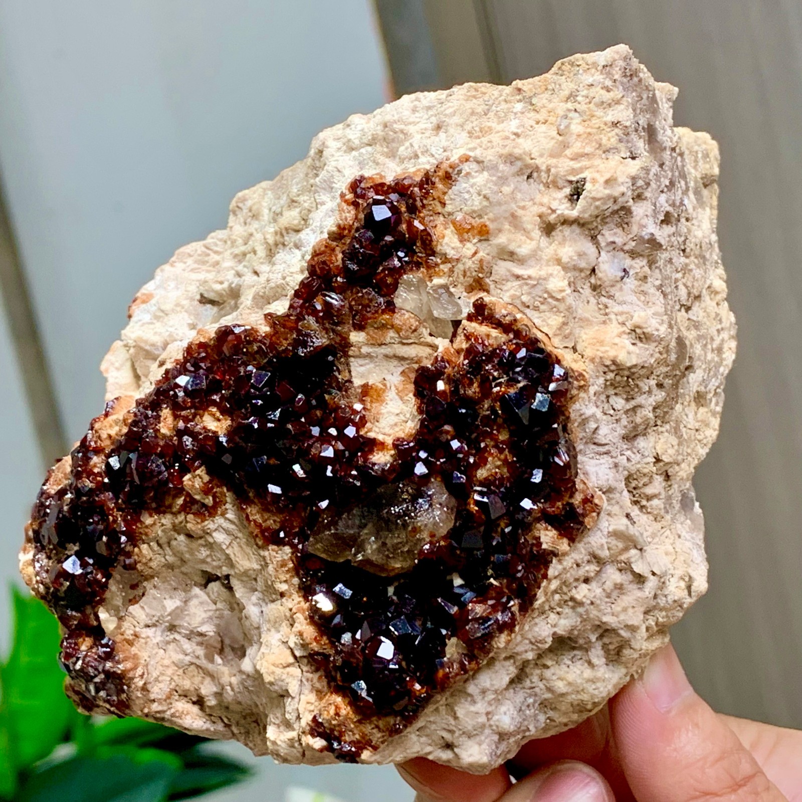 1.92LB Natural Garnet with smokey quartz cluster Crystal Mineral Specimen