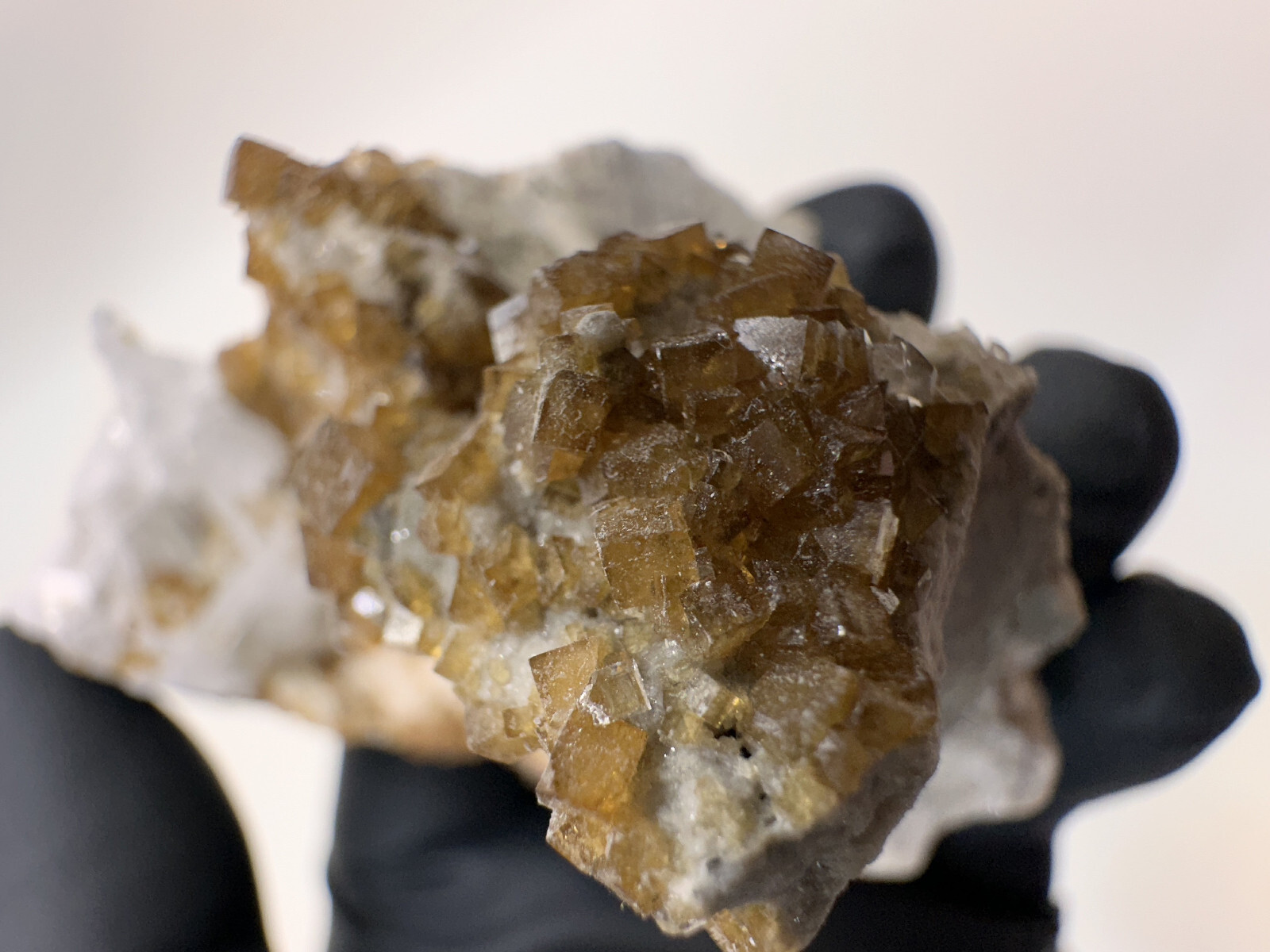 FLUORESCENT__Large Root beer Fluorite & Celestite Specimen / Clay Center Ohio