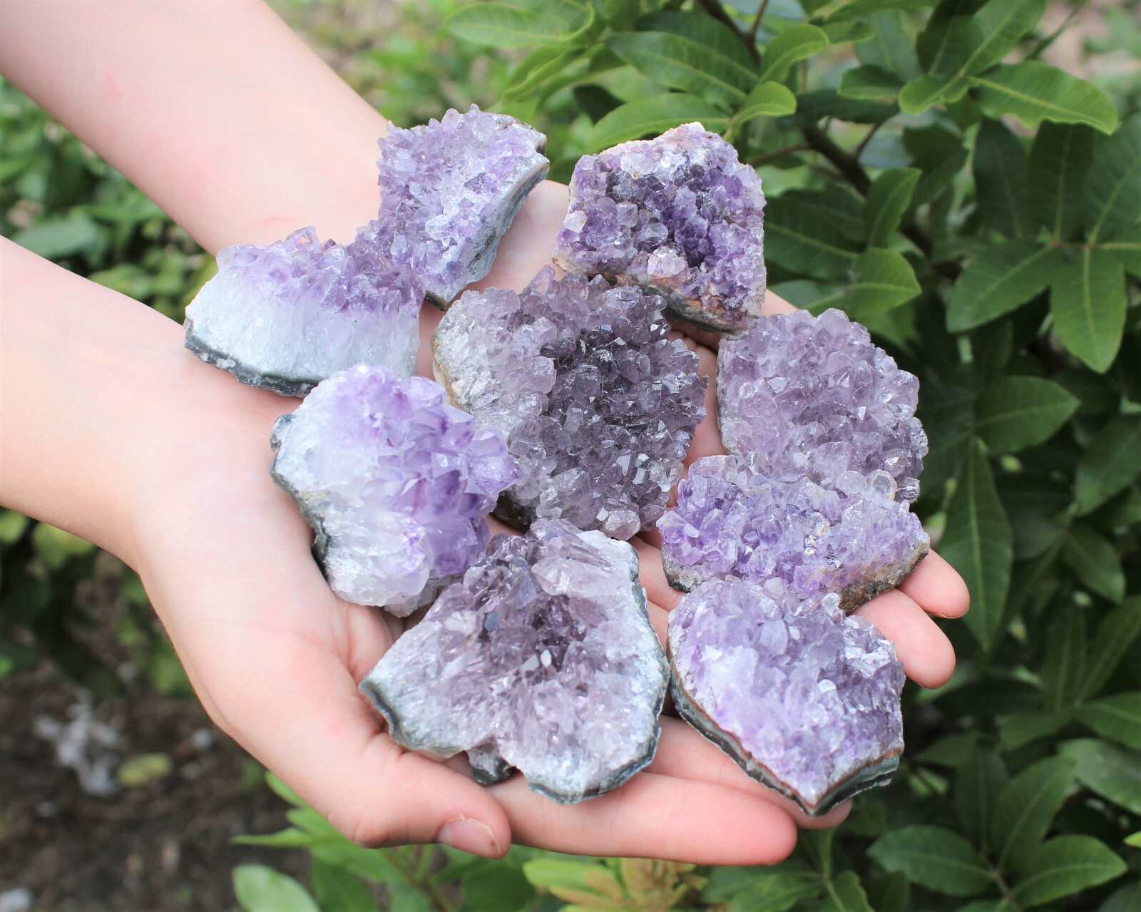 Wholesale Amethyst Cluster Box: B/C Grade CLEARANCE Box Bulk Amethyst Geodes