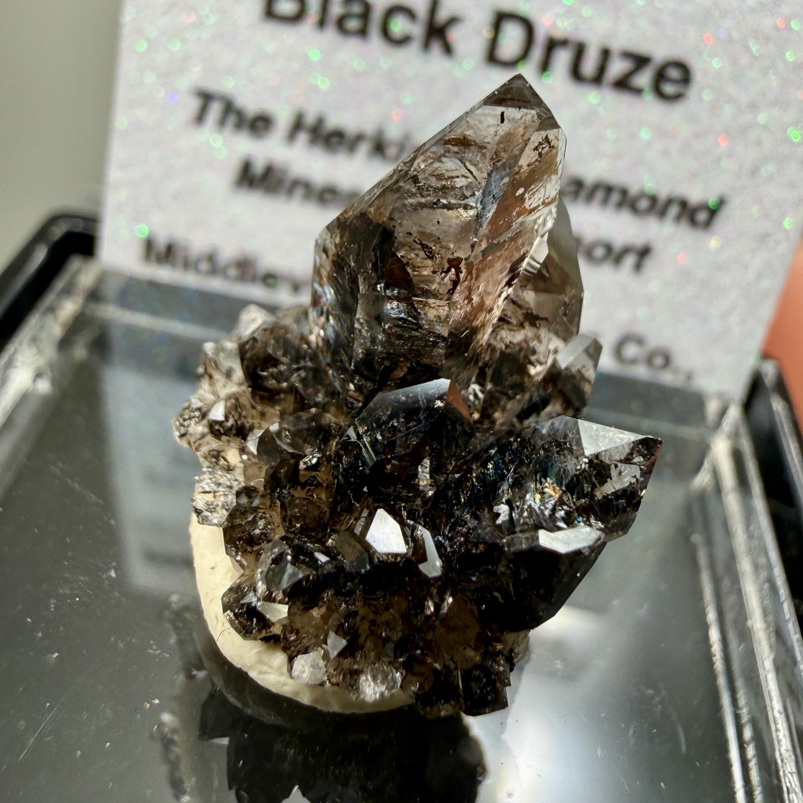 Herkimer Diamond Perched on Rare Black Druze, Gem Points w/ Phantoms