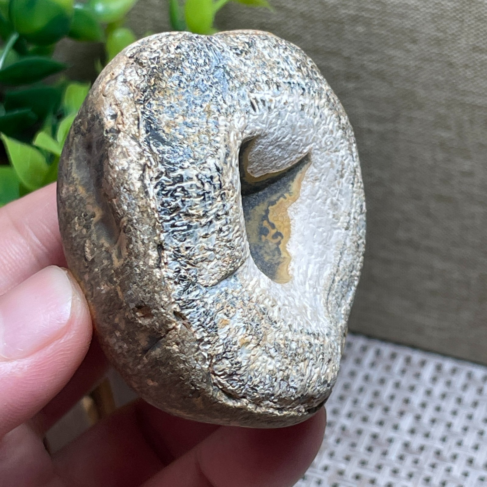 Beautiful ! GoBi agate eyes stone rough Crystal Stone Specimen Viewing 146gram
