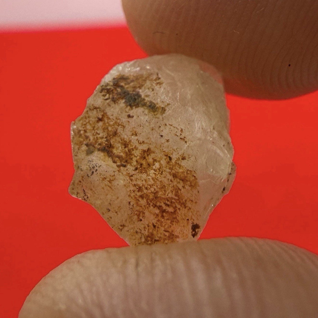 Golden Brazilian Phenacite Crystal: Authentic Phenacite Crystal, 1.05g/5.25ct