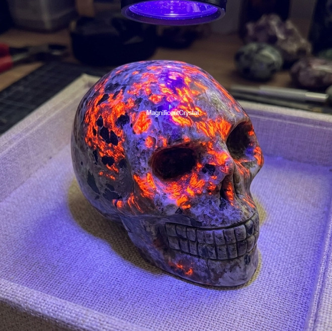 Natural Yooperlite Carved Skull Crystal Figurine UV Reactive Flame Effect 2in