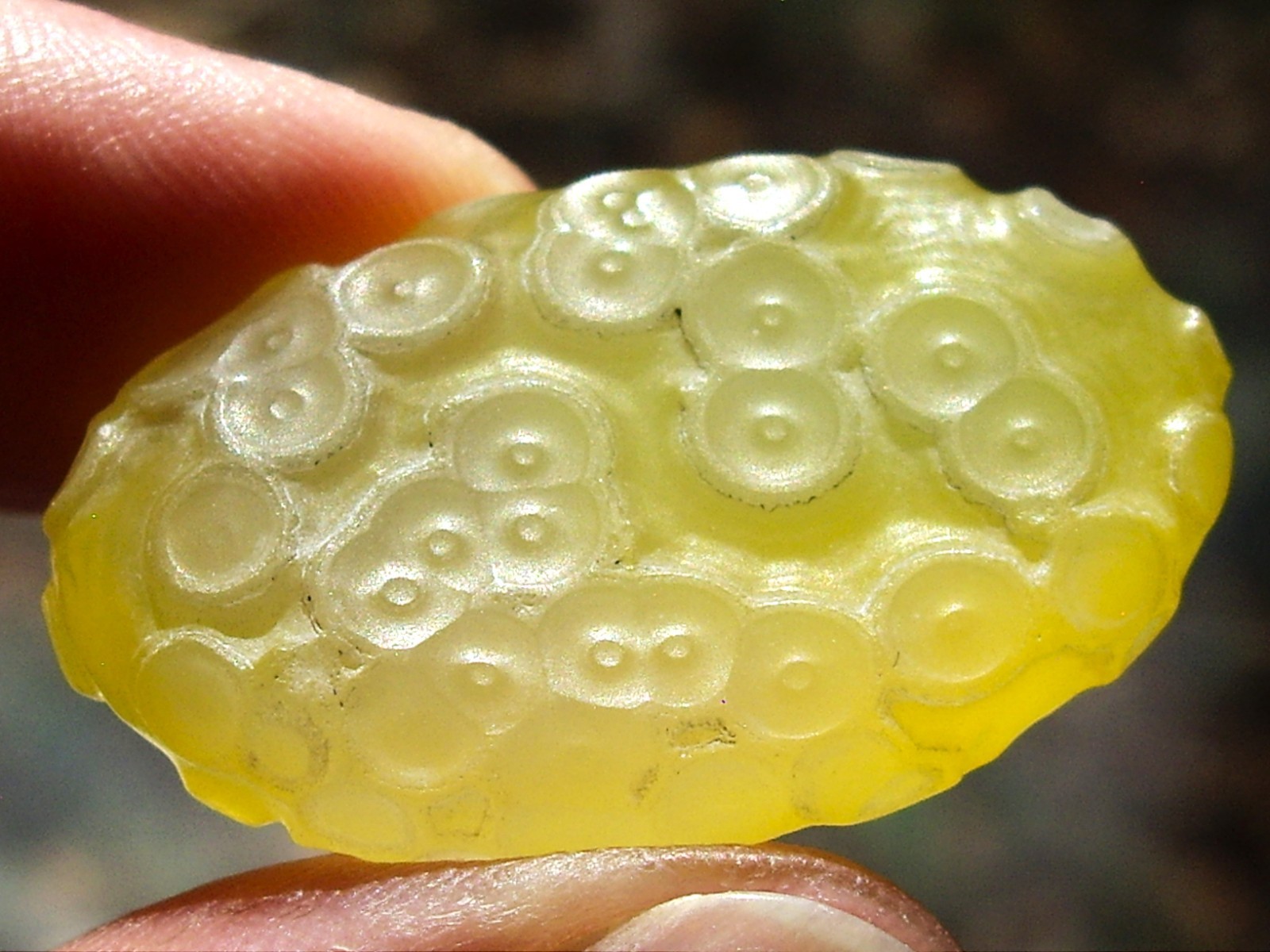 Natural Translucent Yellow Gobi Desert Agate “Gobi Stone” 10.5g