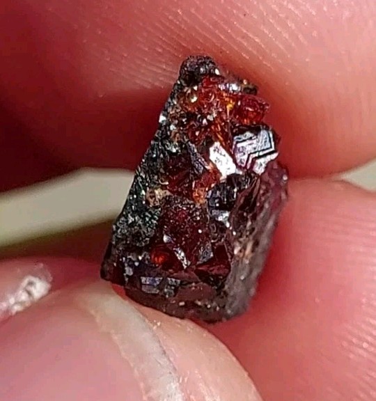 ULTRA RARE GEM RHODOCHROSITE ON MATRIX N’Chwaning I Mine, KMF, South Africa