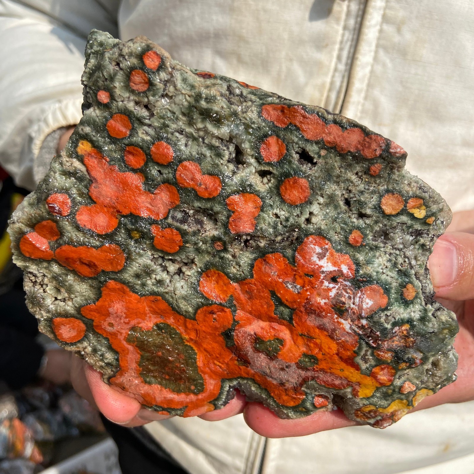 2.2lb Natural colourful ocean jasper raw stone crystal rough mineral specimen