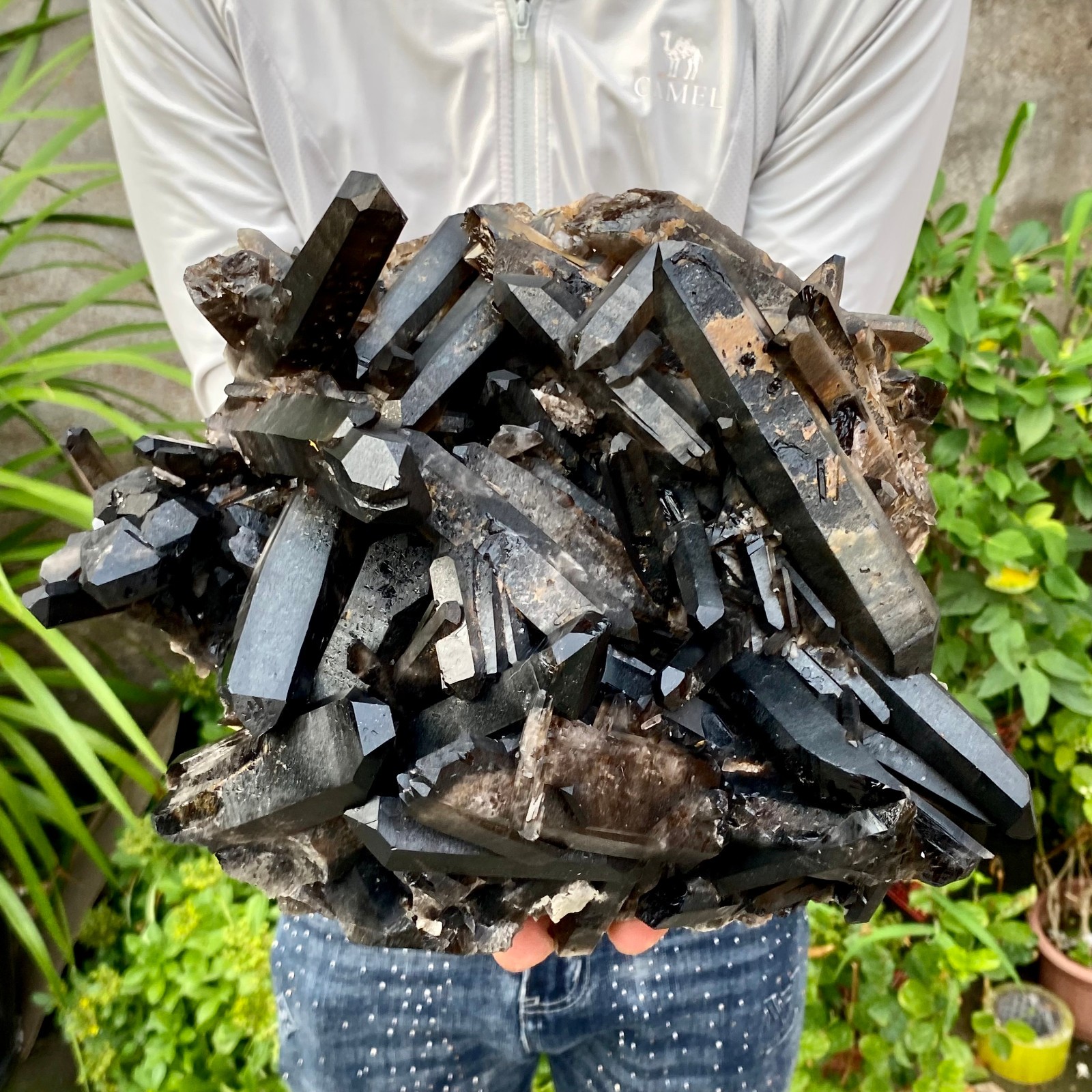 12.78LB Large Natural Smoky Black Quartz Cluster Crystal raw Specimen Healing