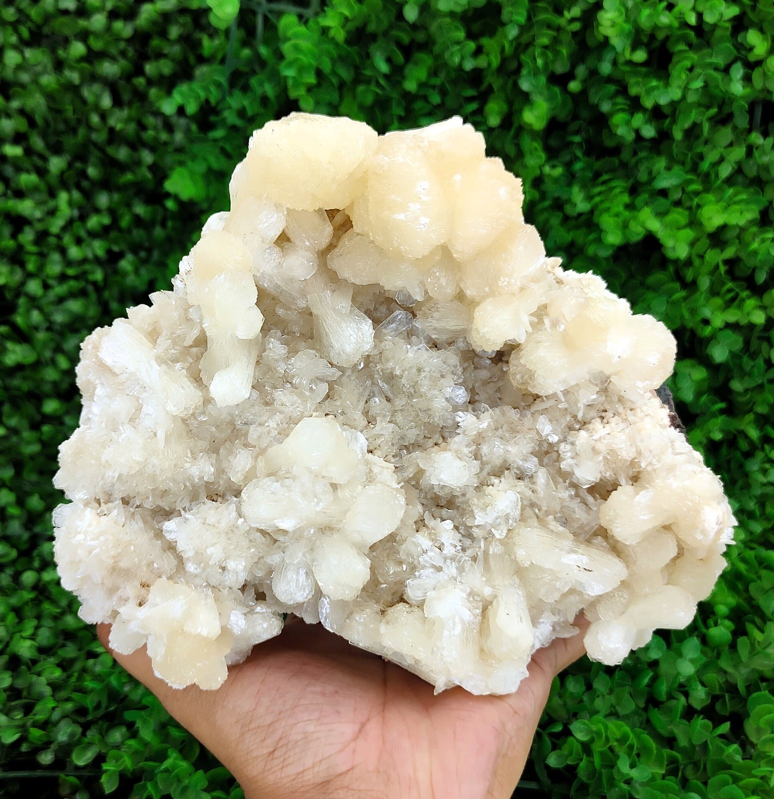 Big Natural Bow Tie Stilbite Cluster On Heulandite Minerals #51