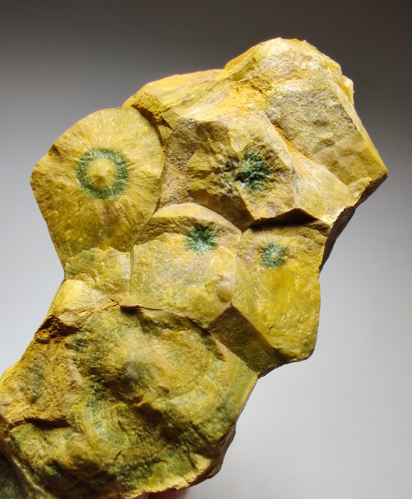Ocean Jasper with very unique form. Kabamby, Madagascar. 79 grams.