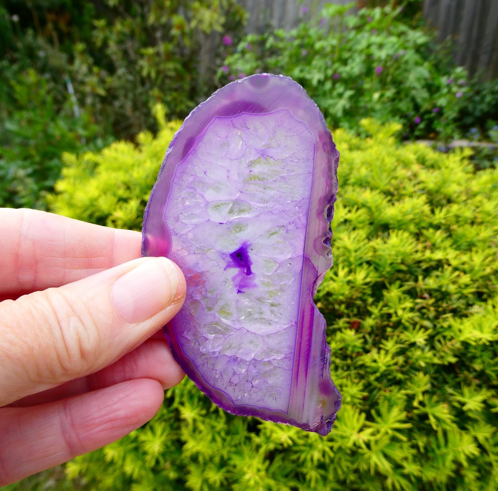 5 Large Purple Agate Crystal Slices Sizes 73mm – 90mm Bulk Pack = £3.00 Each J
