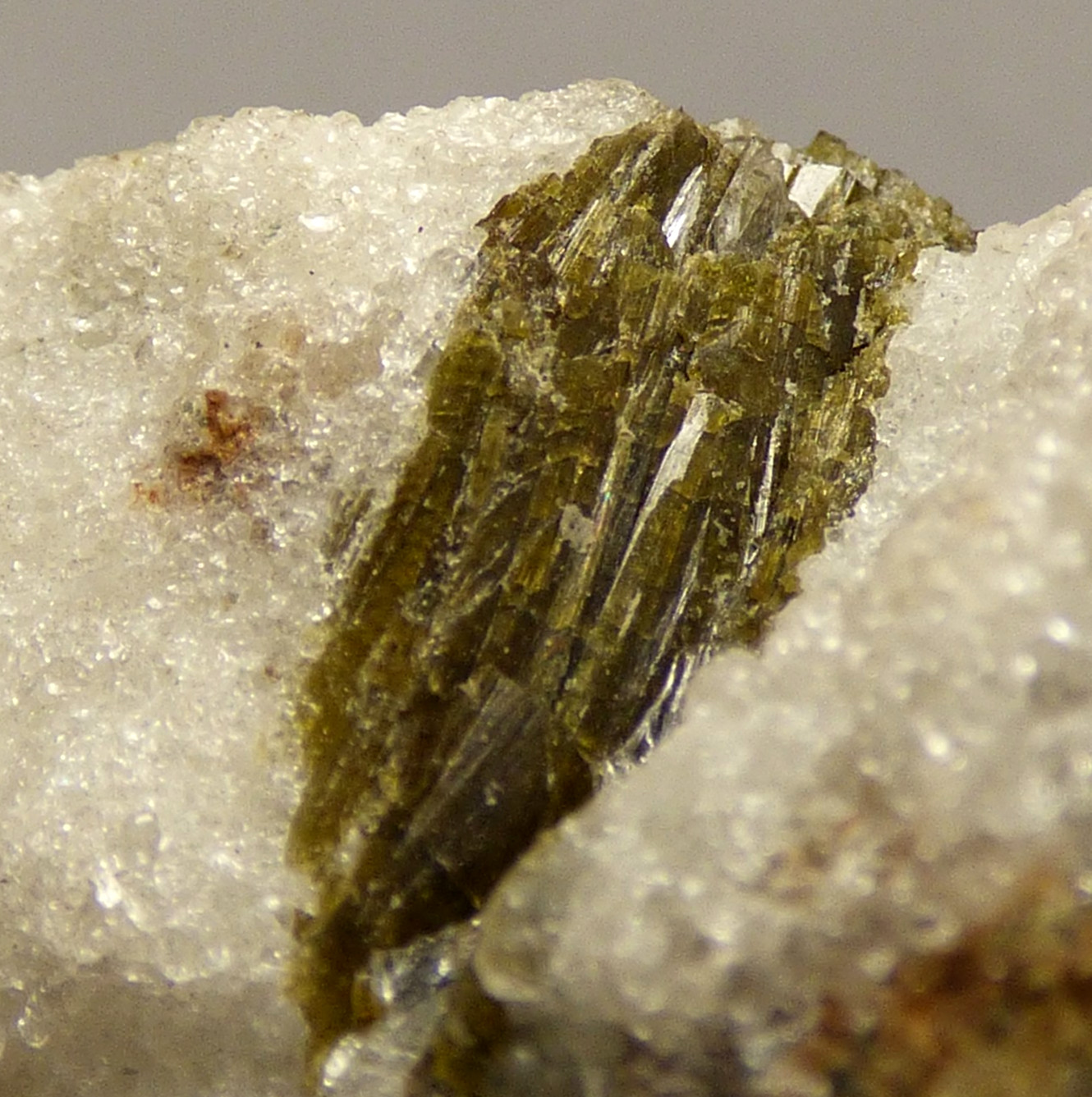 Leucite in Tephrite Mineral Specimen Rome Italy 6.5cm 306g