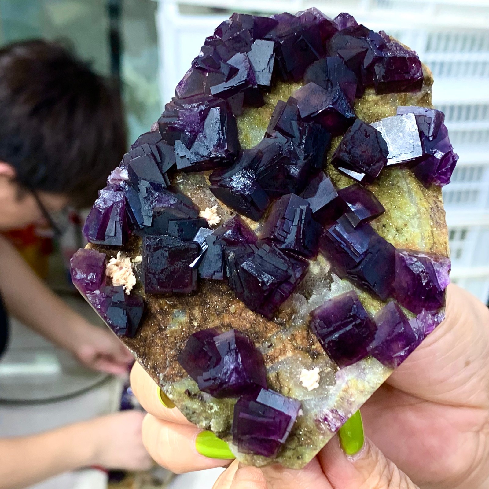 331G Rare Purple cubic fluorite mineral crystal sample/Zhejiang