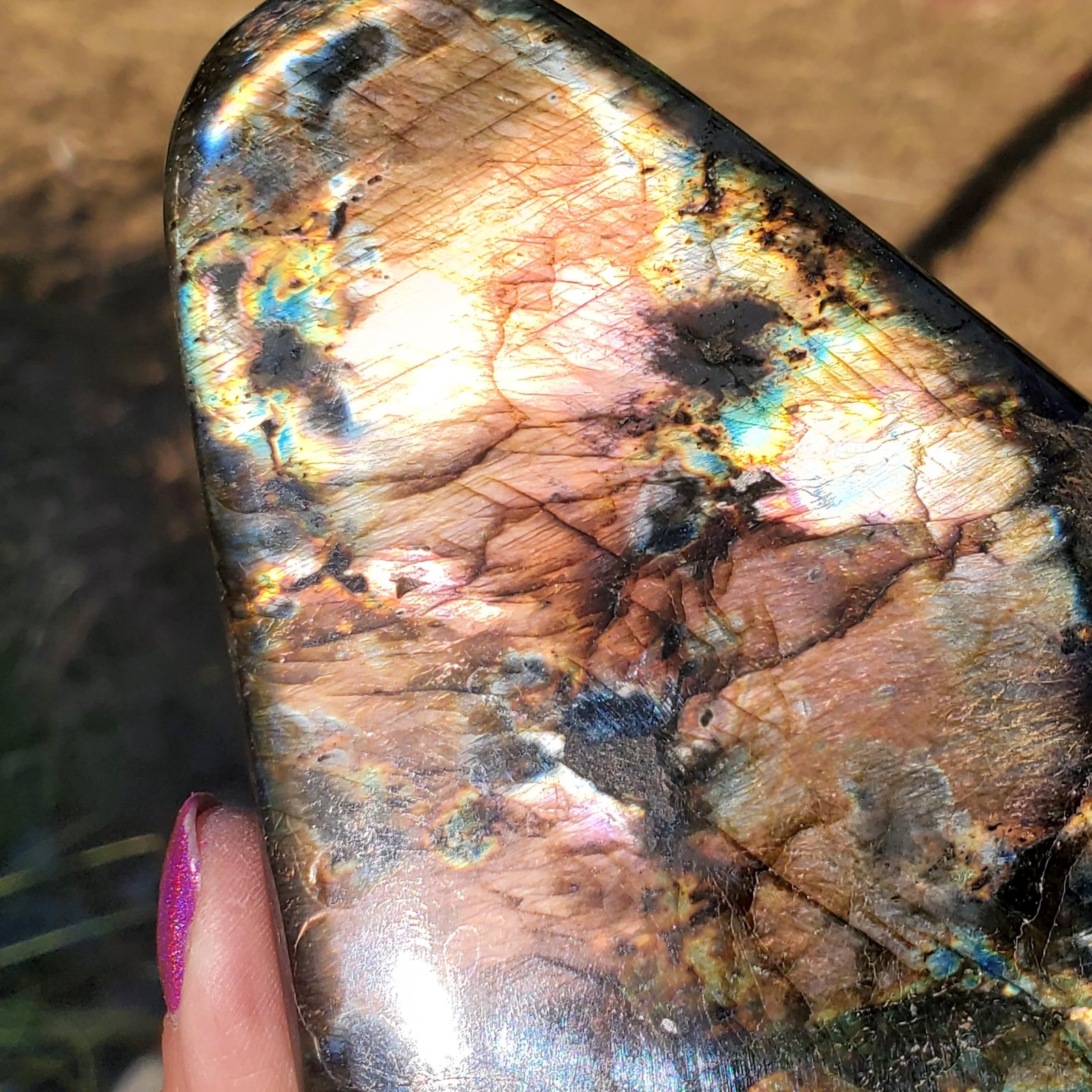 Labradorite Spectrolite “Stained Glass” Crystal Slab Freeform 700 grams