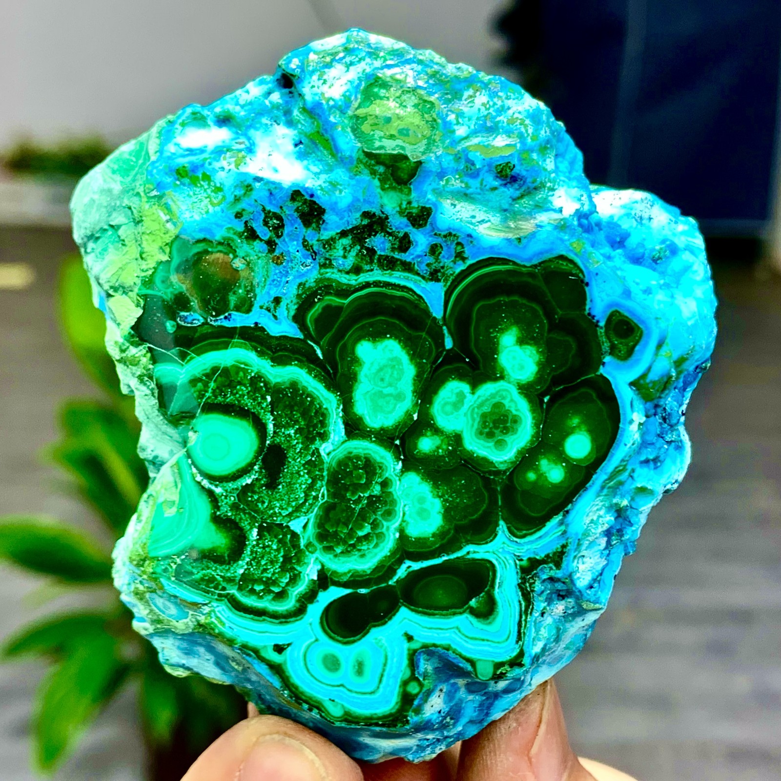 205G Natural Chrysocolla/Malachite transparent cluster rough mineral sample
