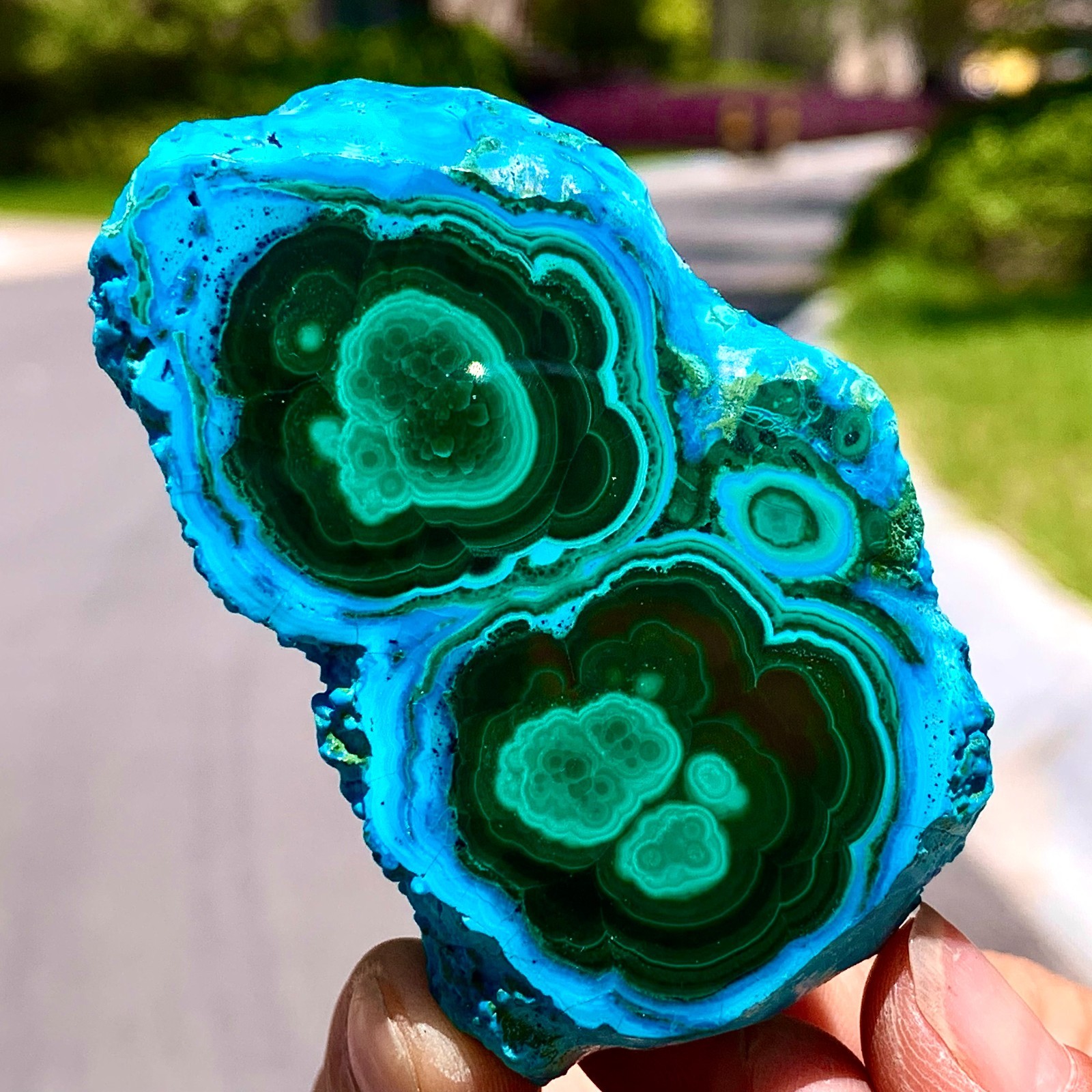 123G Natural Chrysocolla/Malachite transparent cluster rough mineral sample
