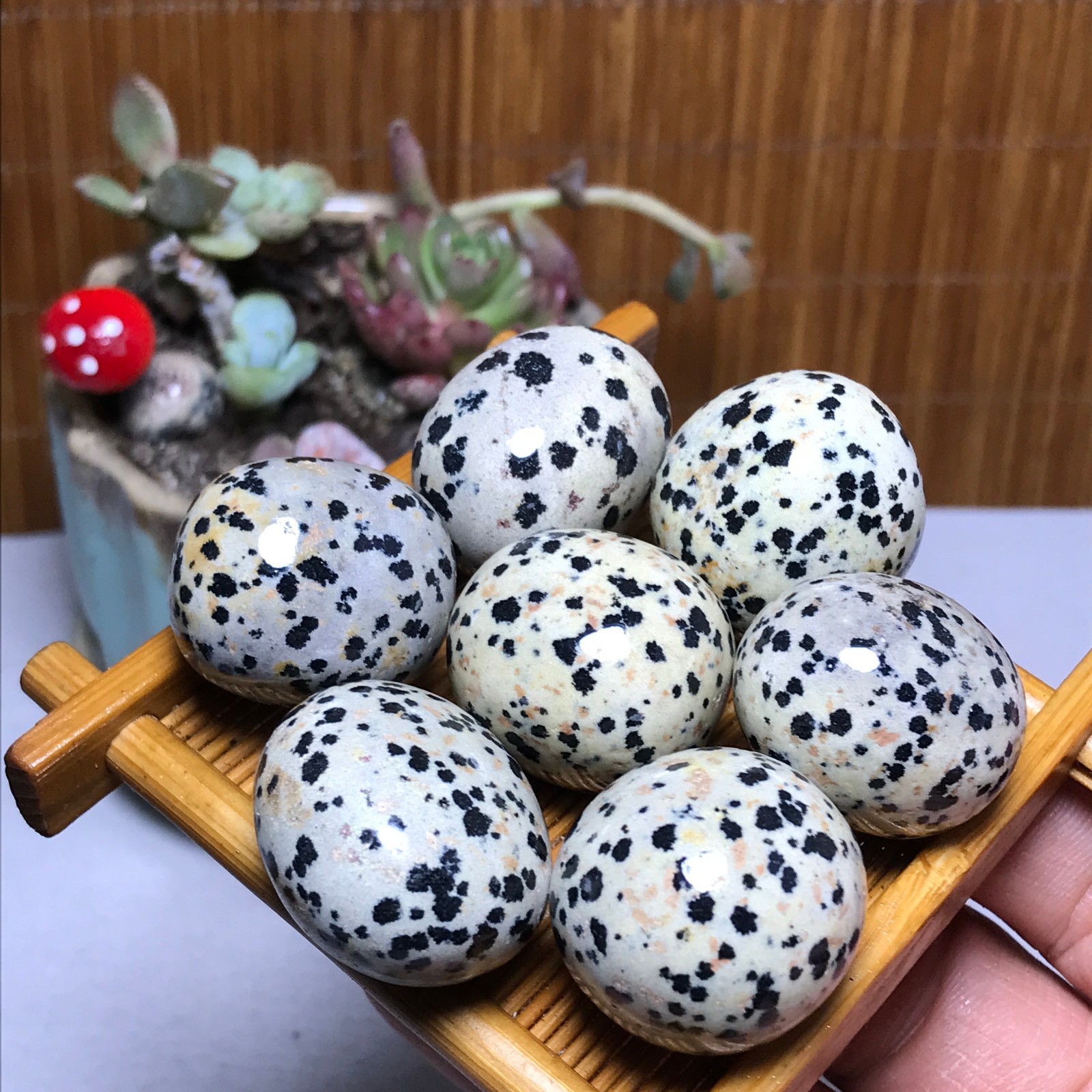 25-22-22mm 7Pcs Natural spotted stone Crystal gemstone Mineral Specimen A4408