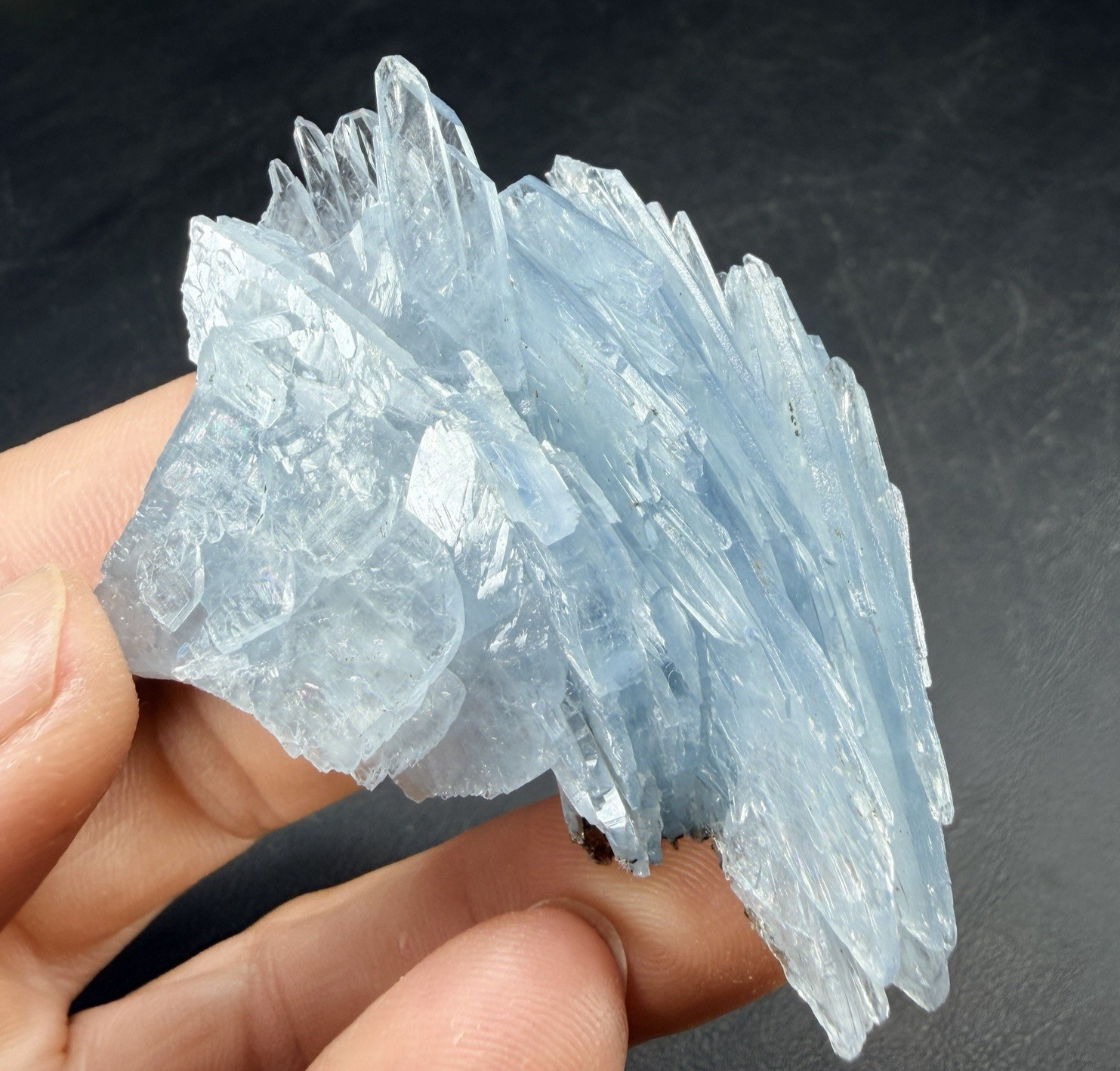 Blue Barite Crystal Blade Cluster from Morocco