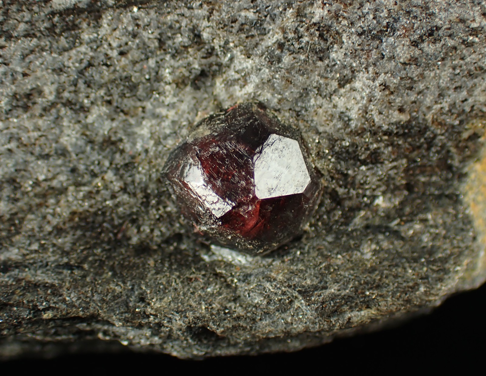 GARNET var ALMANDINE crystals on matrix 6,5 x 4,0 x 3,5 cm Alaska, U.S. 1082N