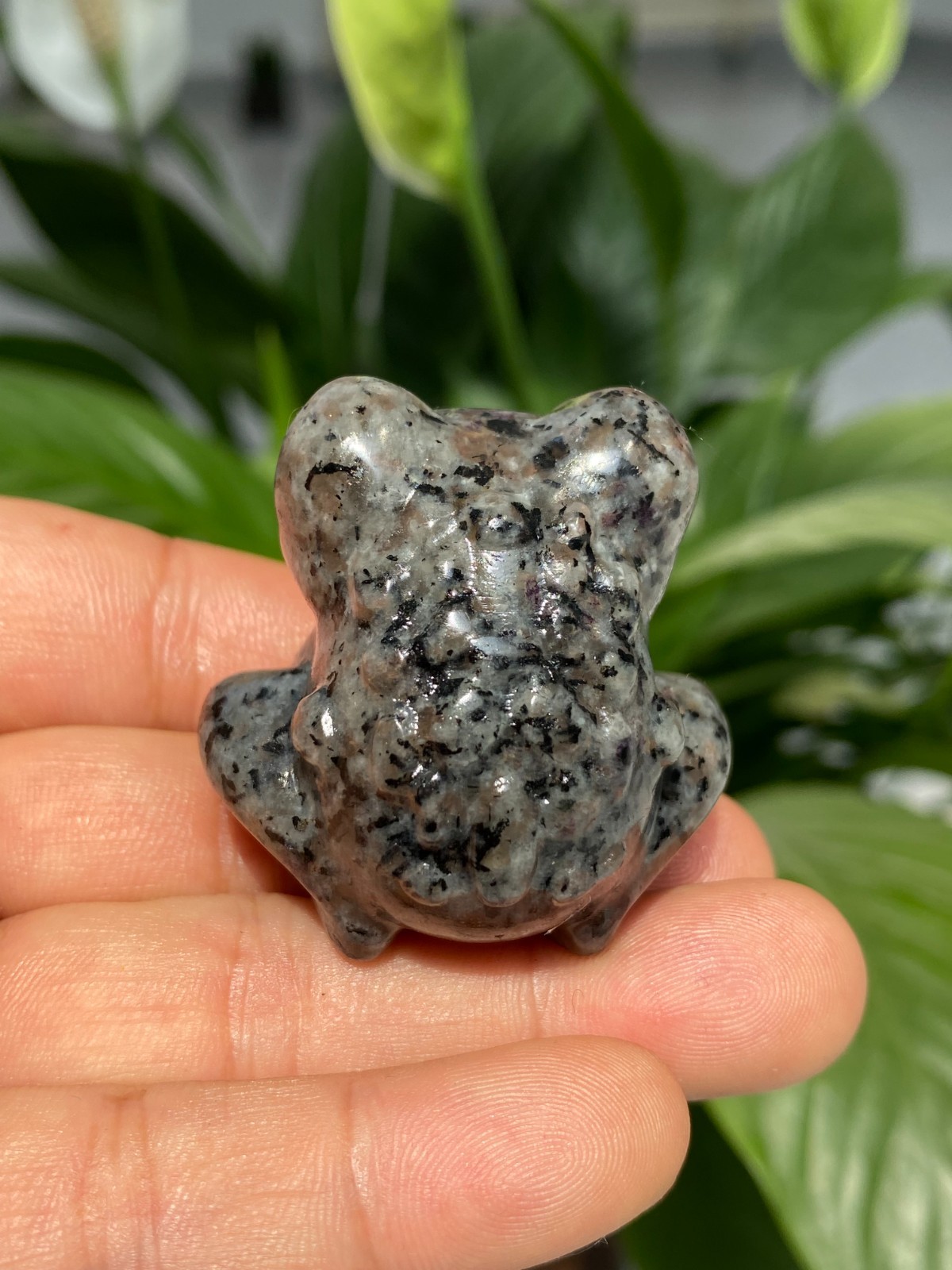 1pc Natural Yooperlite Quartz Carved Crystal Frog skull reiki healing gift Decor