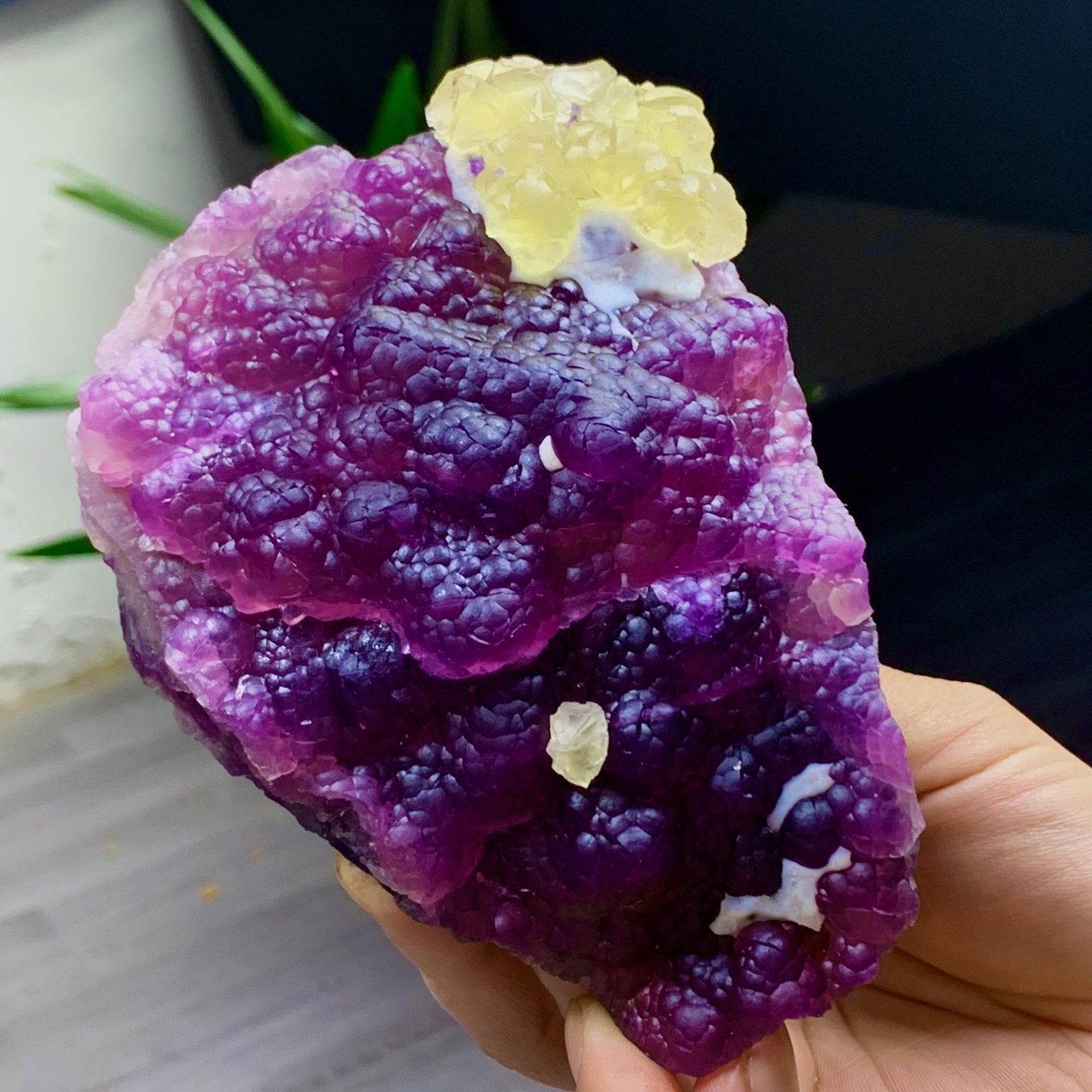 2.40LB Complete rare and gorgeous purple fluorite from Inner Mongolia, China