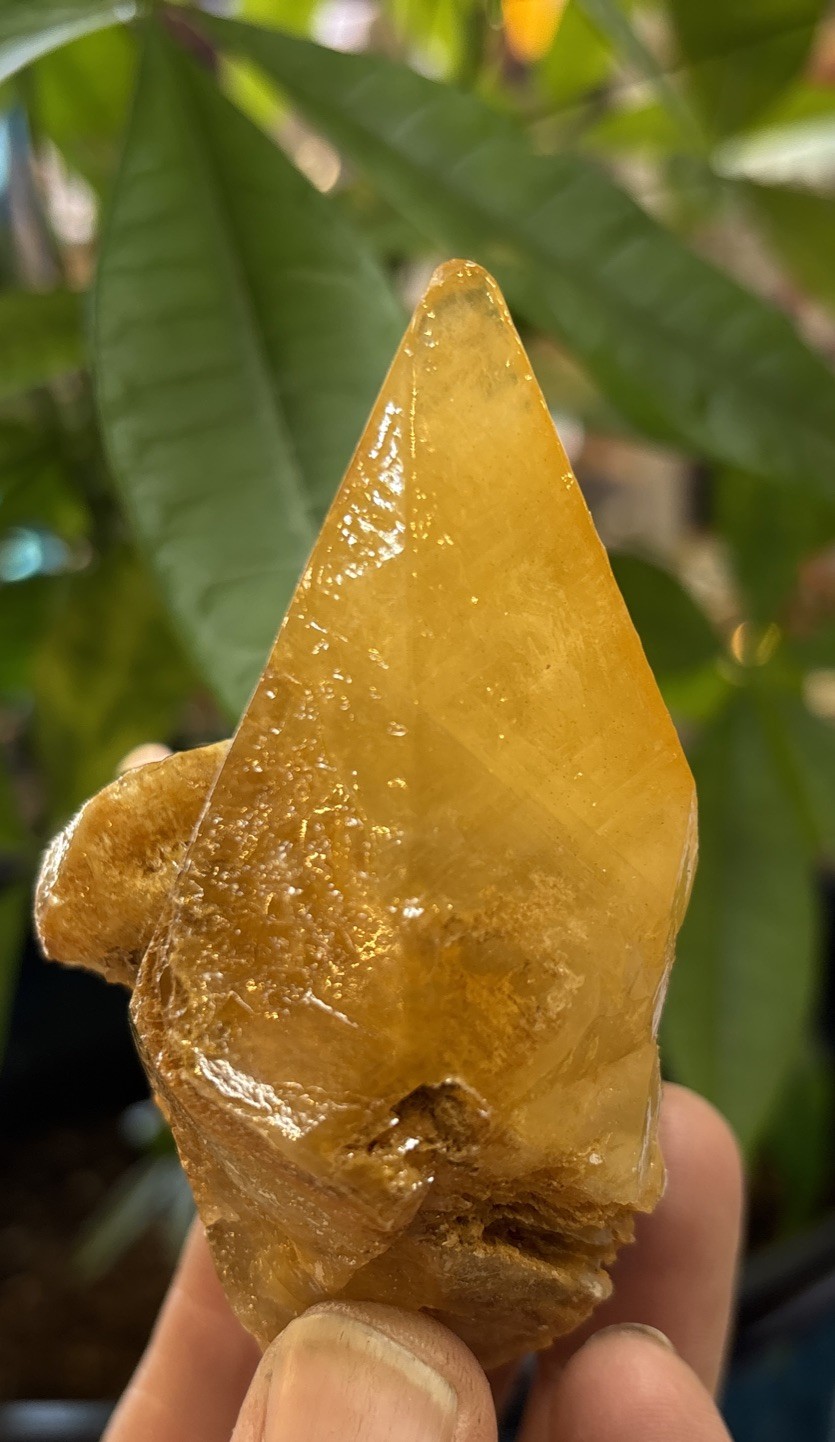 dog tooth calcite 205 Grams