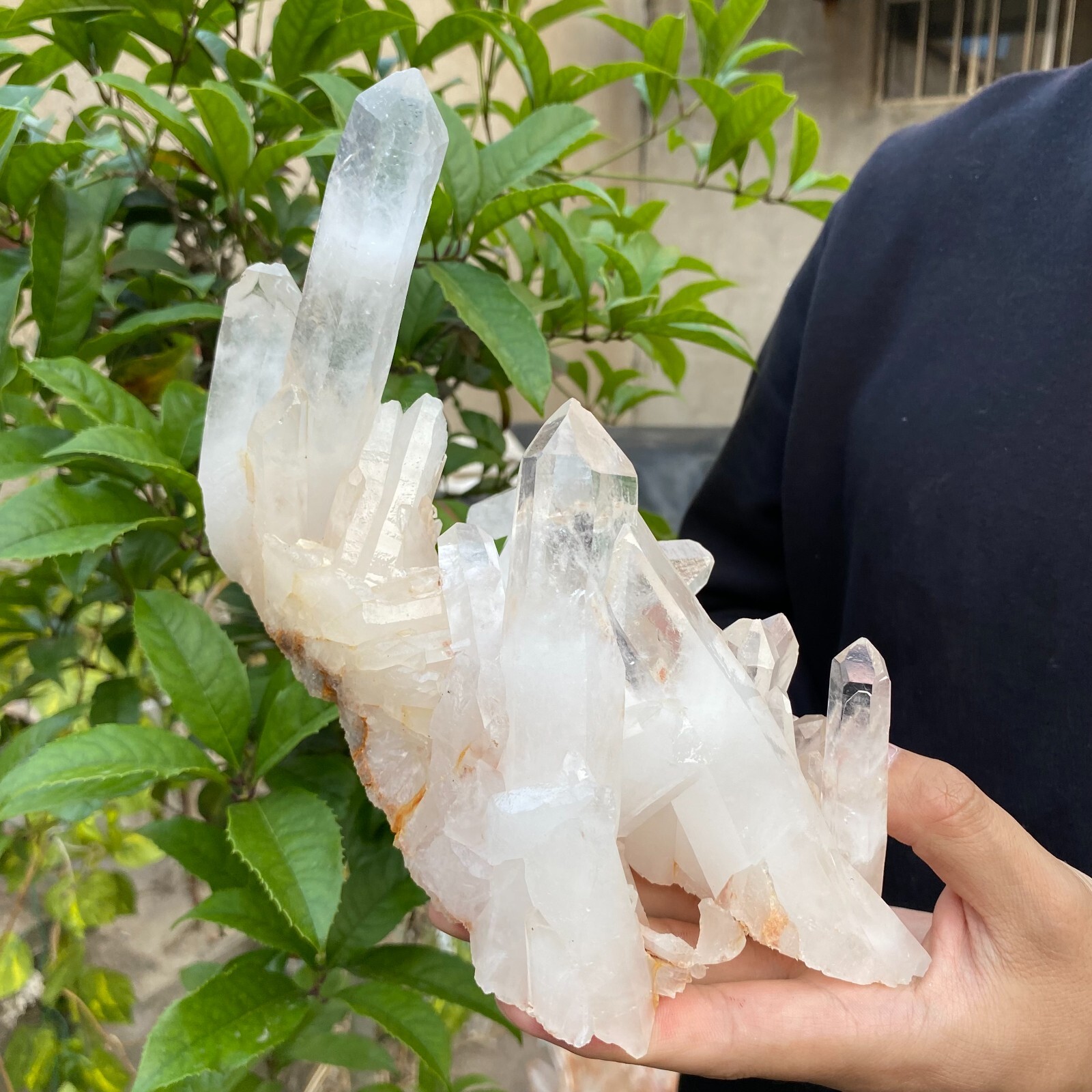 3.1lb Natural Clear White quart Crystal Cluster Raw Healing Specimen