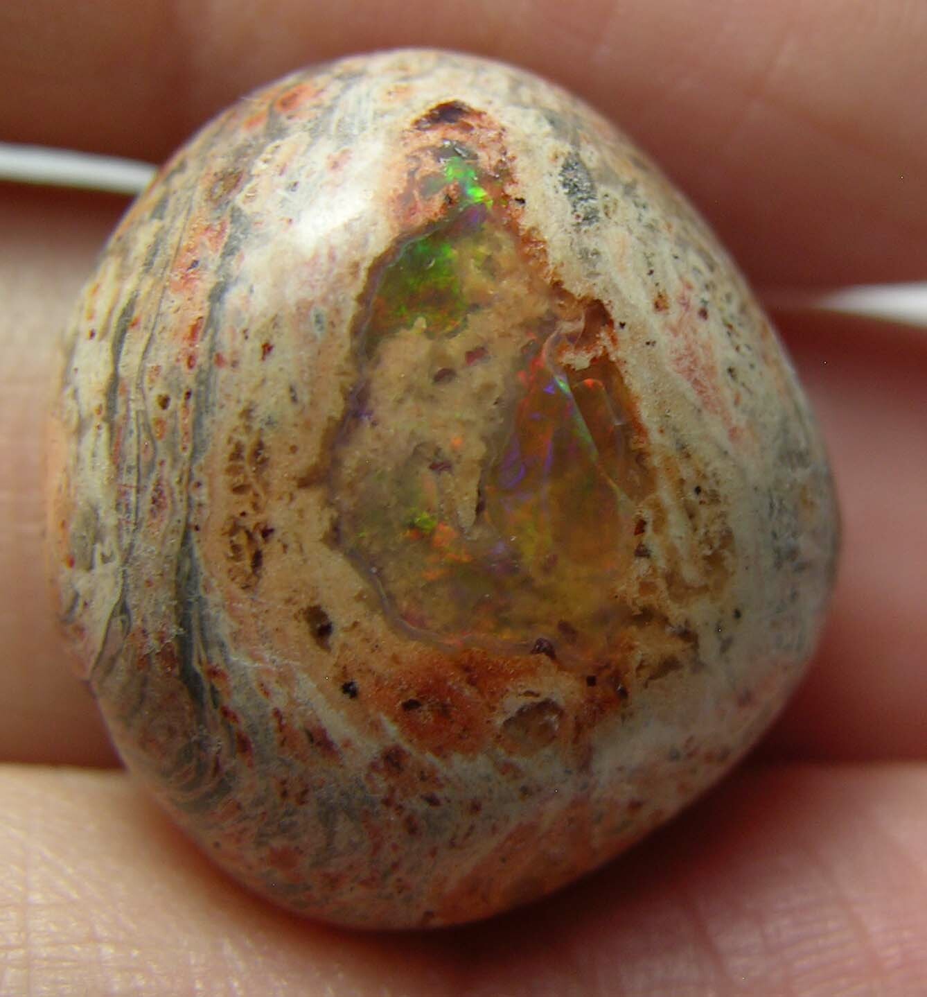 #18 Mexico 17.50ct 100% Natural Fire Opal in Matrix Cabochon Gemstone 3.45g 19mm