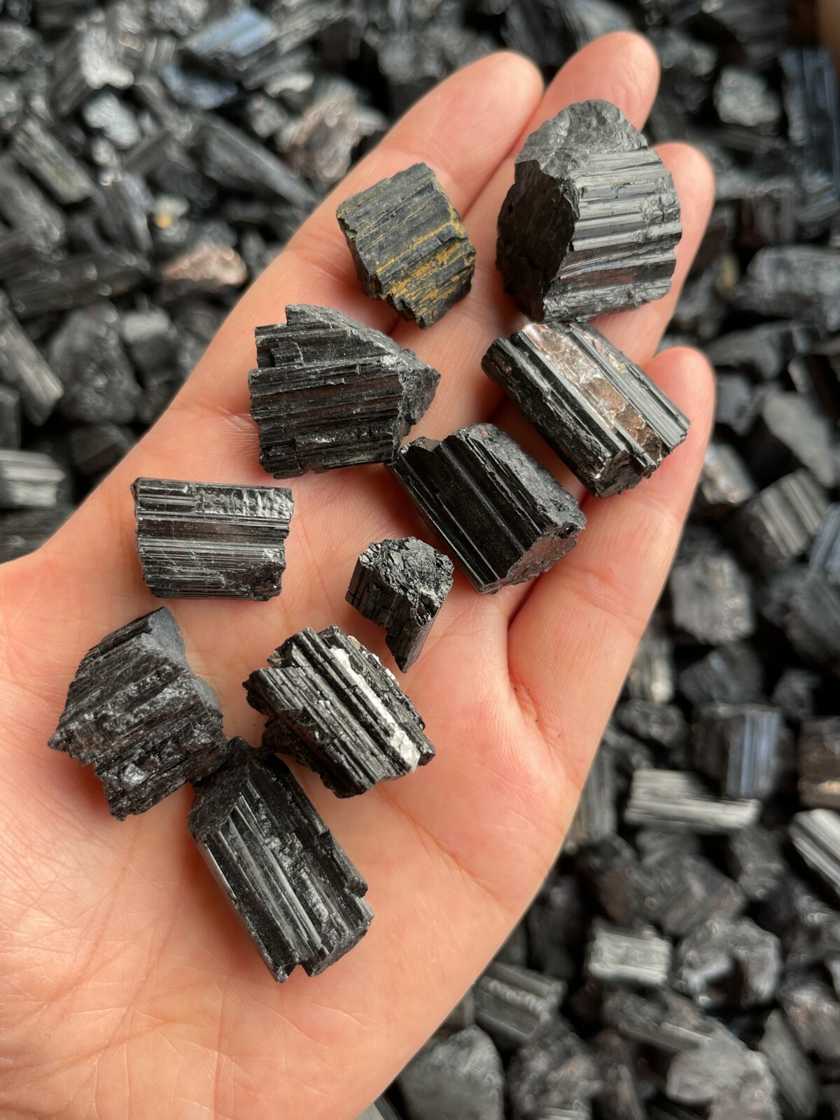 Grade A++ Black Tourmaline Small Raw Natural Stone 0.5″ – 1.25″, Wholesale Bulk