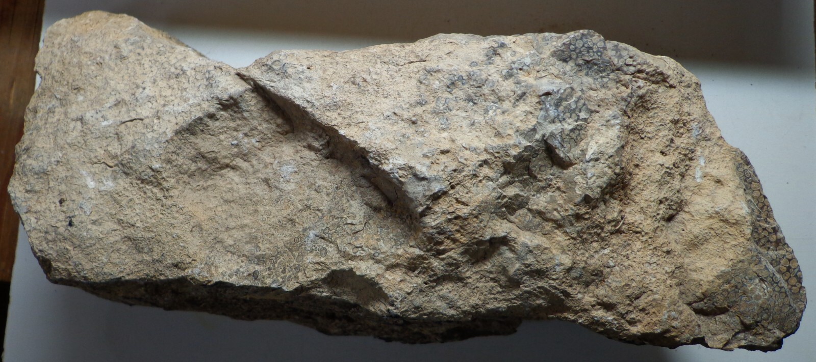 WRG – Oolite rough 9 Pounds 9.7 Oz Wyoming Specimen Sand Rock