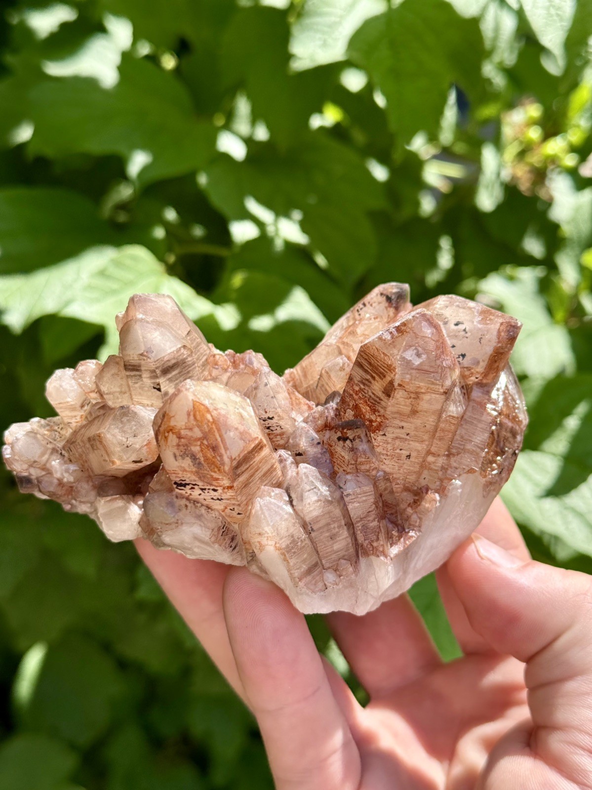 Phantom Hematite Quartz Crystal Cluster Red Feather 11cm – 387 g – ID70