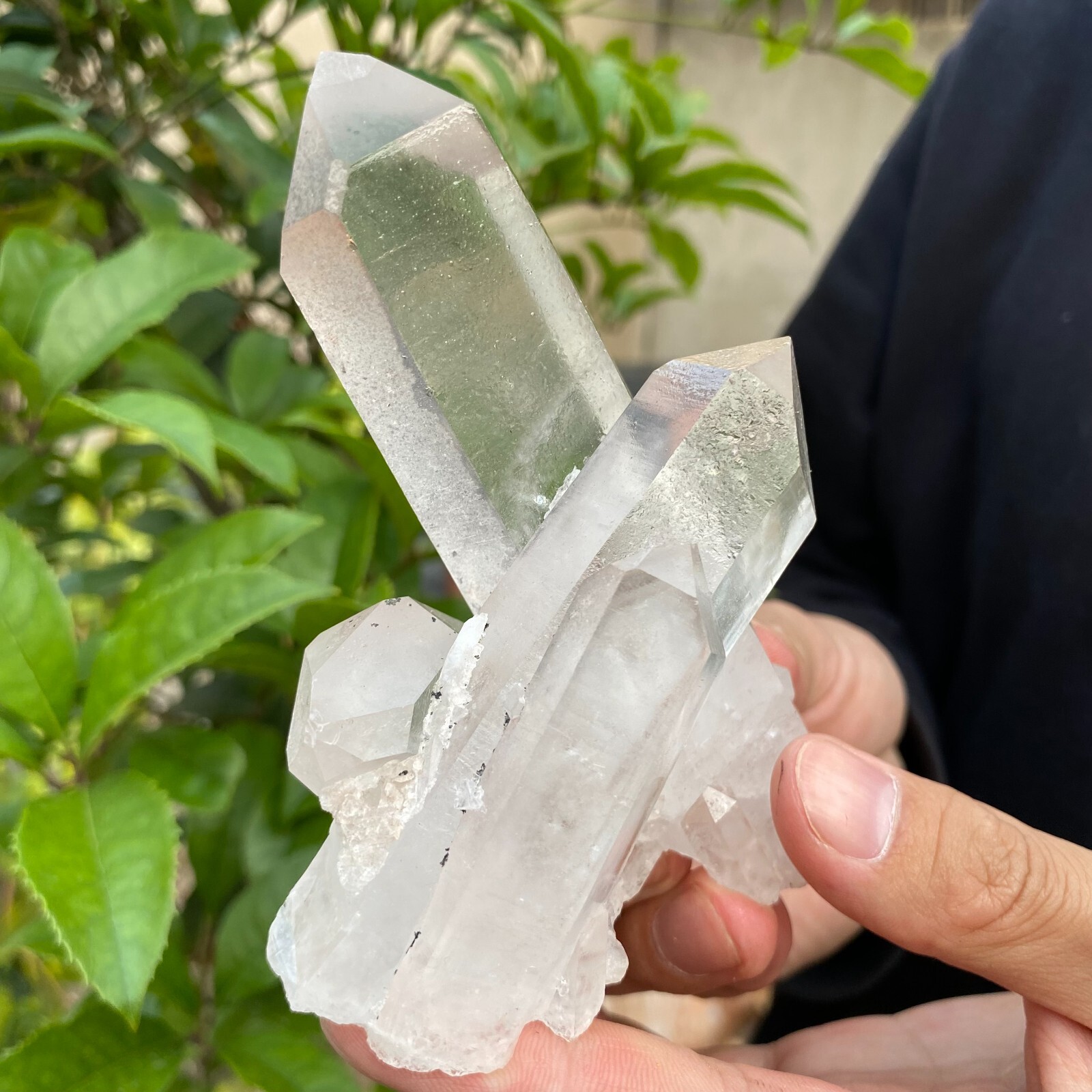 0.7lb Natural Clear White quart Crystal Cluster Raw Healing Specimen