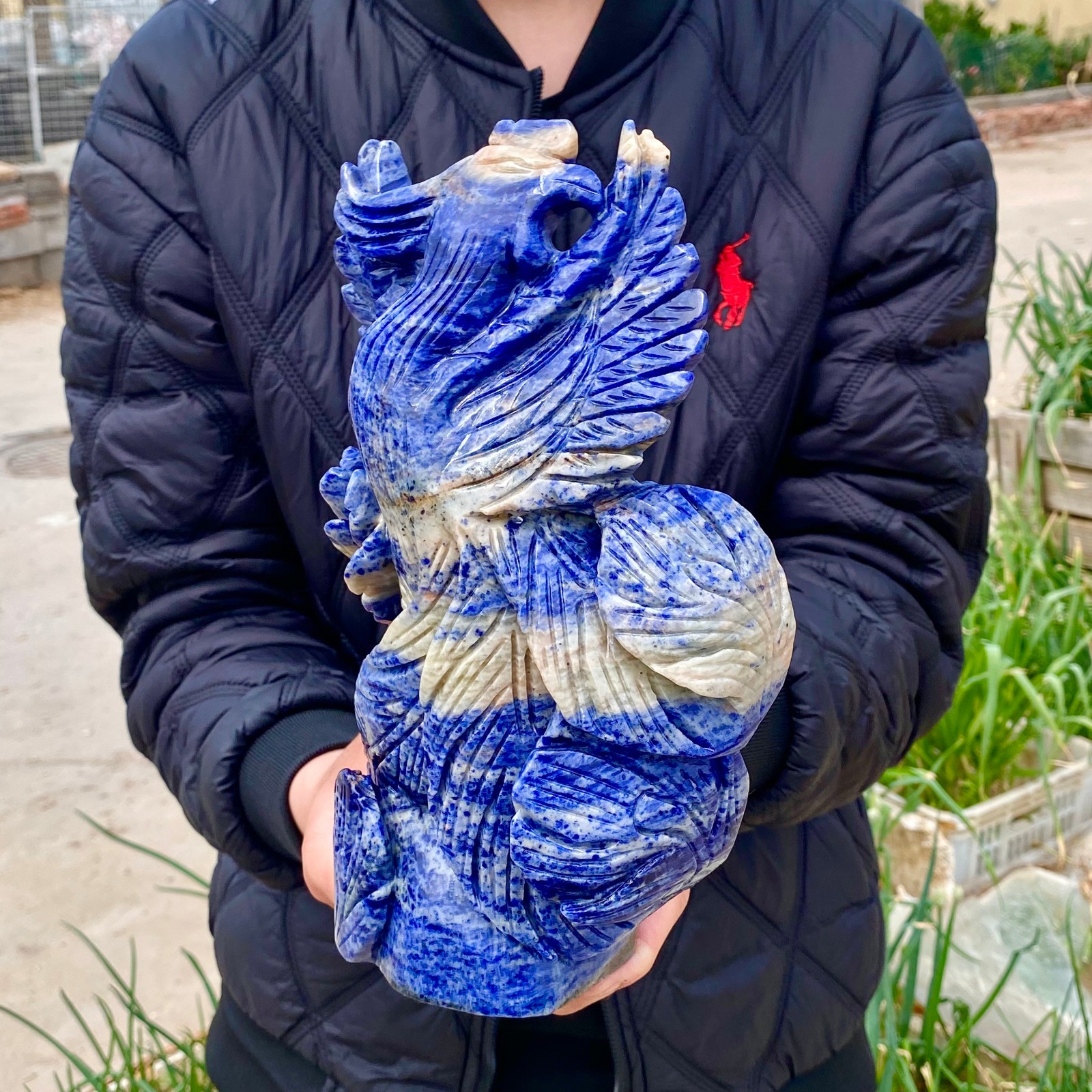 7LB Natural Blue Texture Crystal Carving Phoenix Rose Spiritual Energy