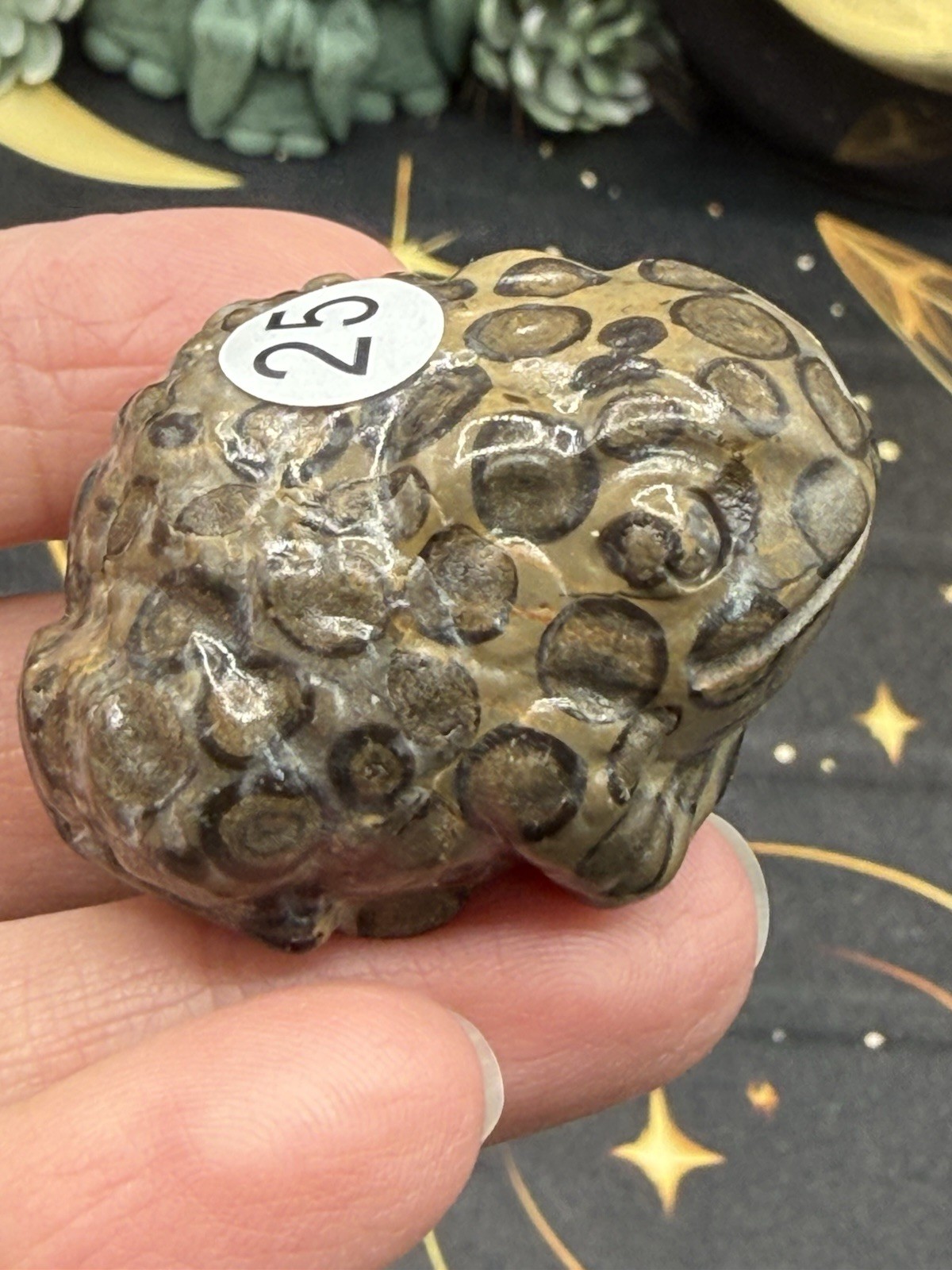 Natural Leopard Skin Japser Baby Toads O.M.G cute & Life like! Free shipping